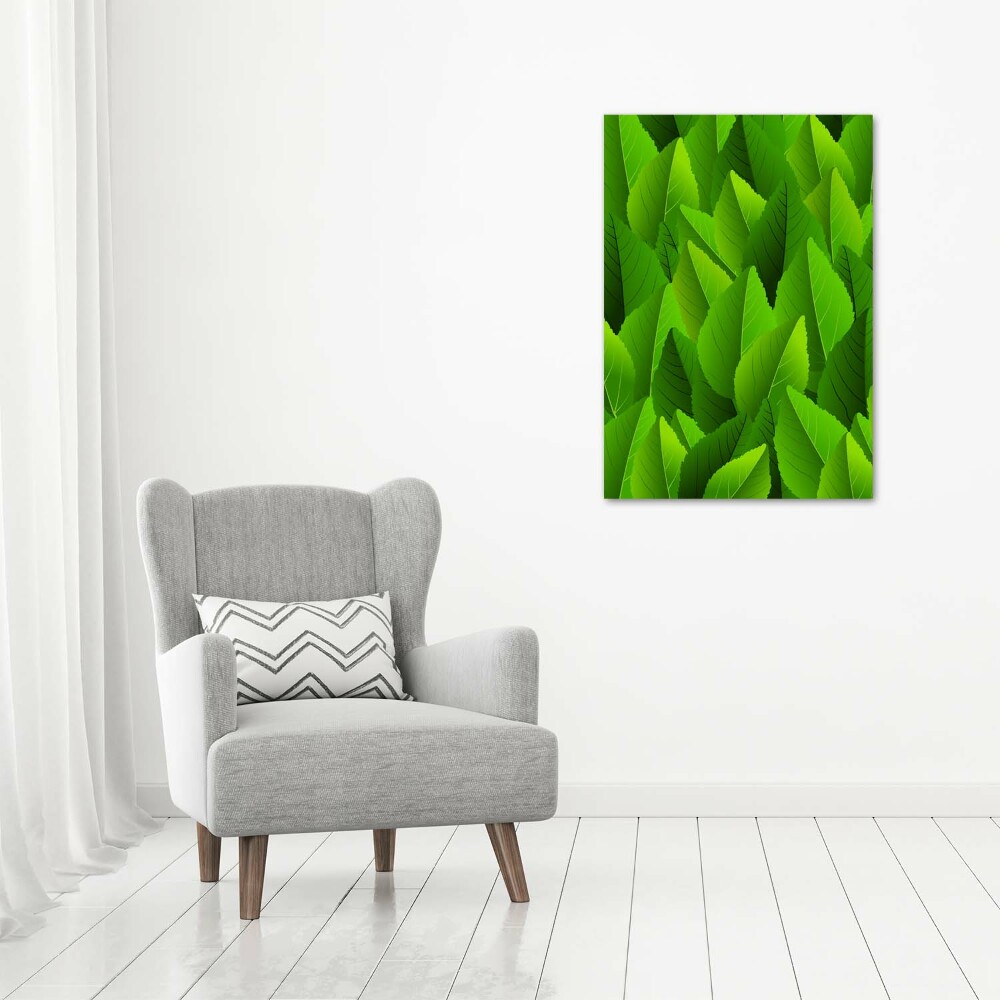 Tableau photo sur toile Feuille verte