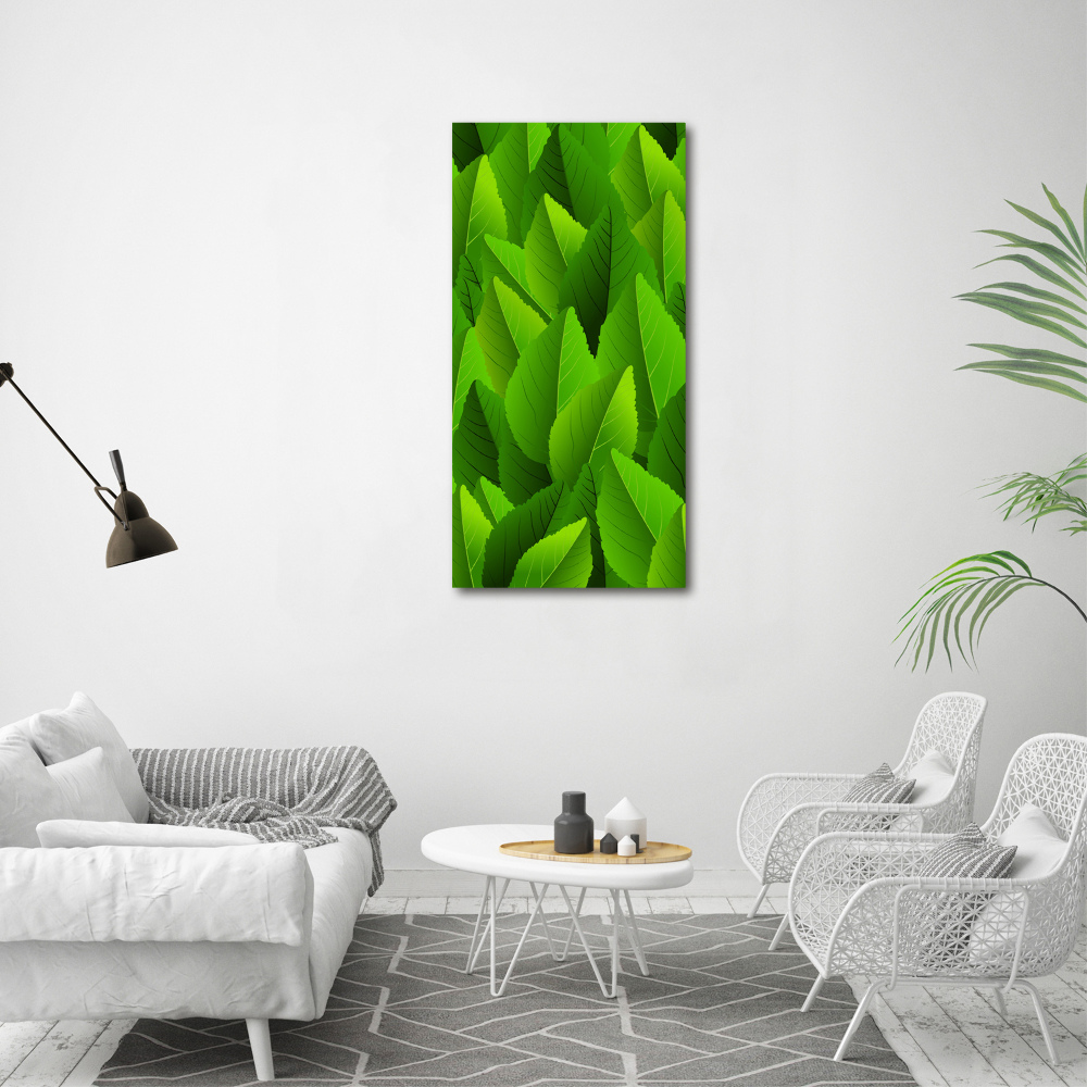 Tableau photo sur toile Feuille verte