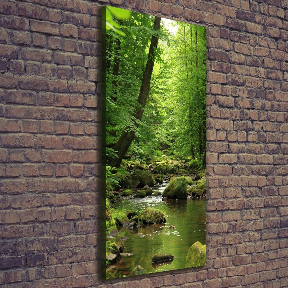 Tableau sur toile Rivière dans la forêt