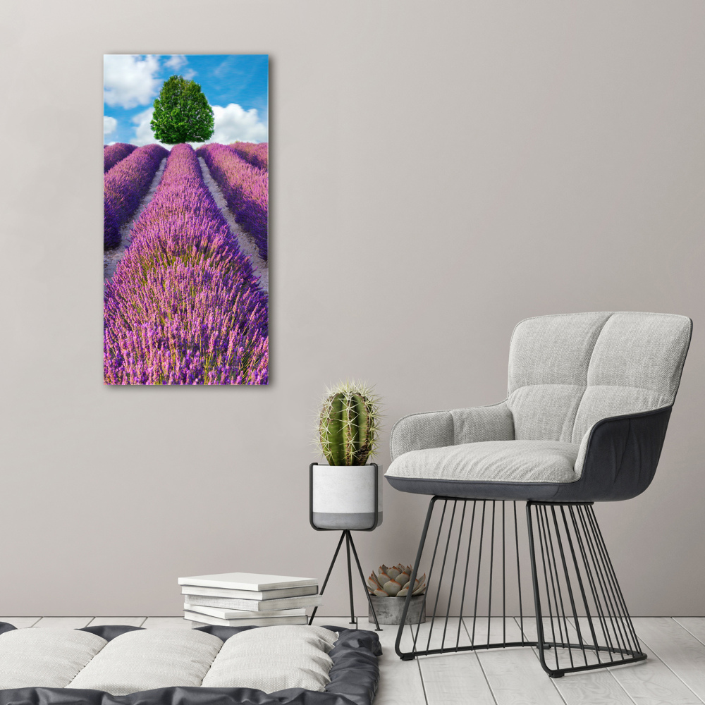 Tableau mural sur toile Champ de lavande violette