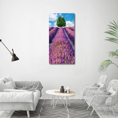 Tableau mural sur toile Champ de lavande violette