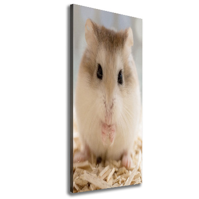 Tableau photo sur toile Hamster