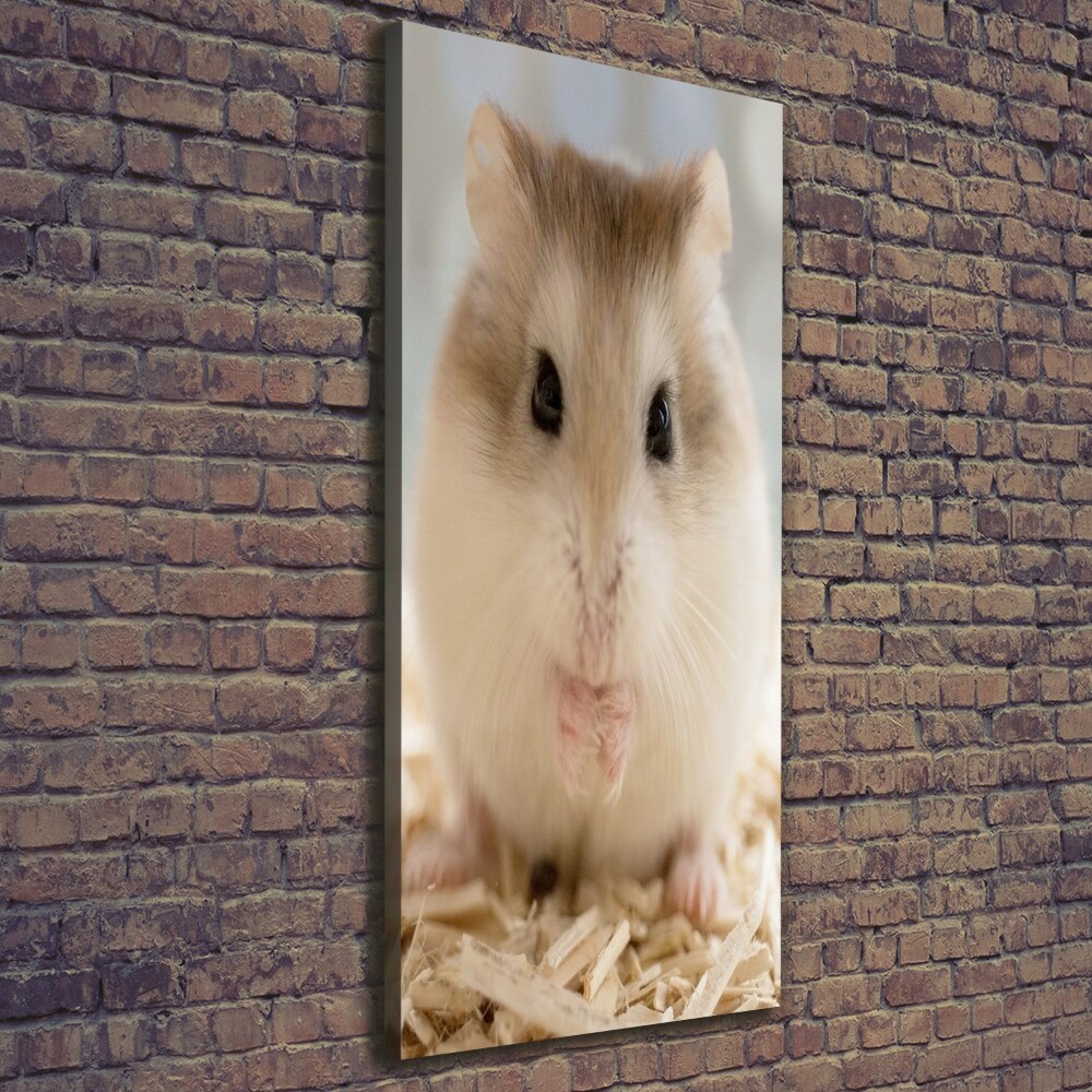 Tableau photo sur toile Hamster