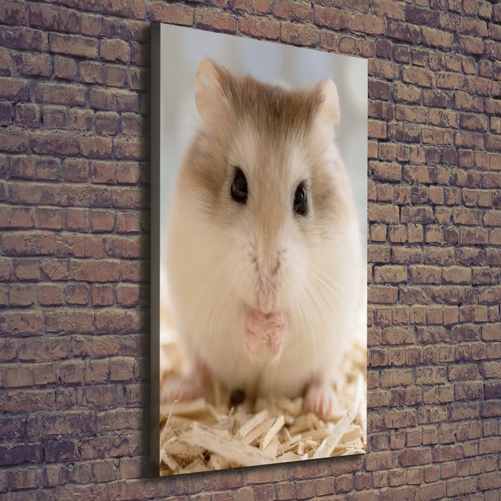 Tableau photo sur toile Hamster