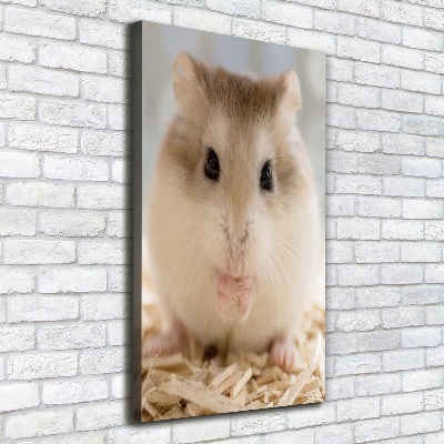 Tableau photo sur toile Hamster