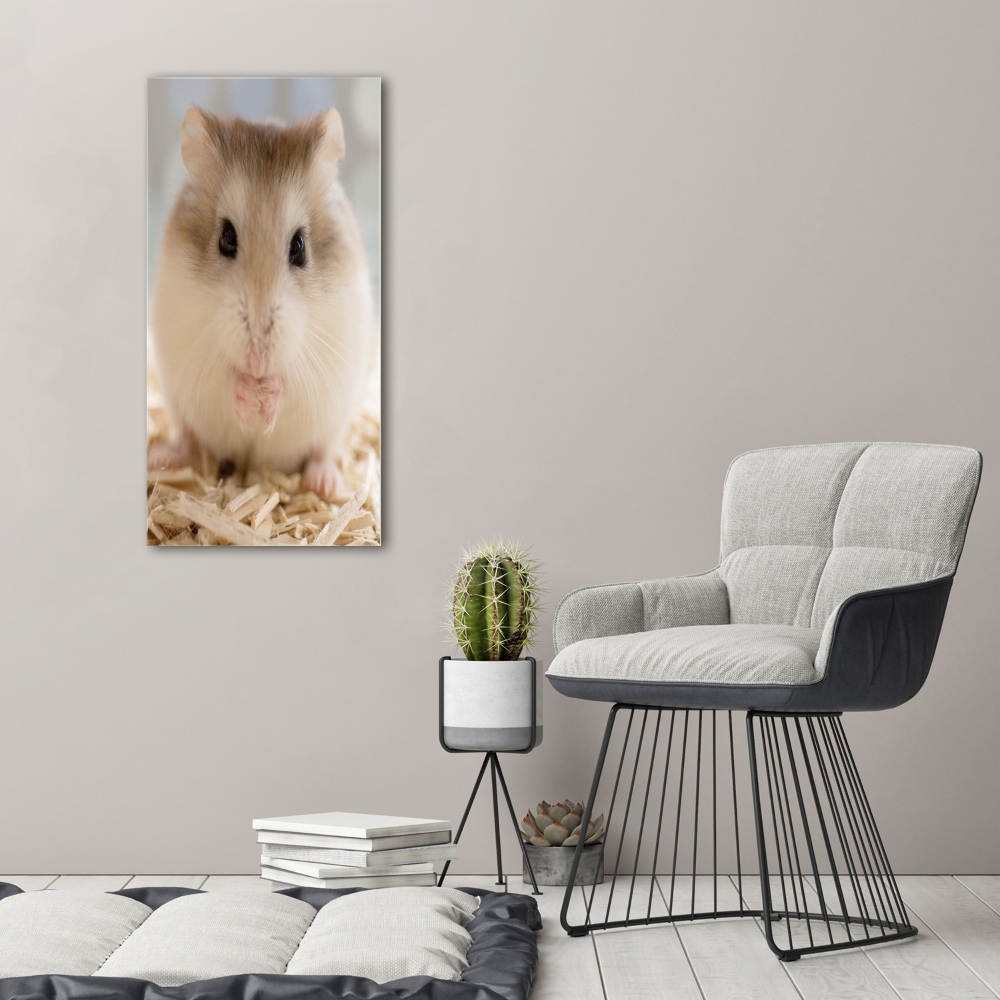 Tableau photo sur toile Hamster