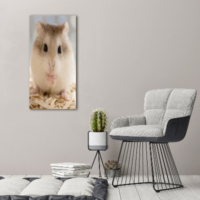 Tableau photo sur toile Hamster