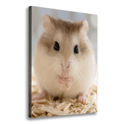 Tableau photo sur toile Hamster