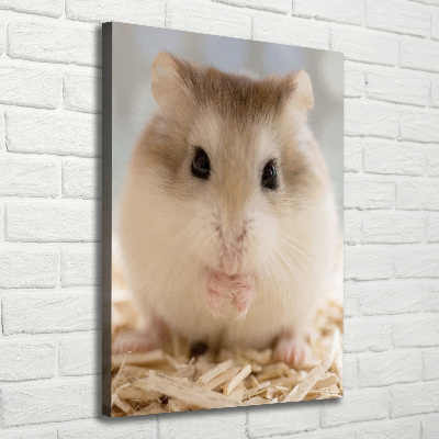 Tableau photo sur toile Hamster