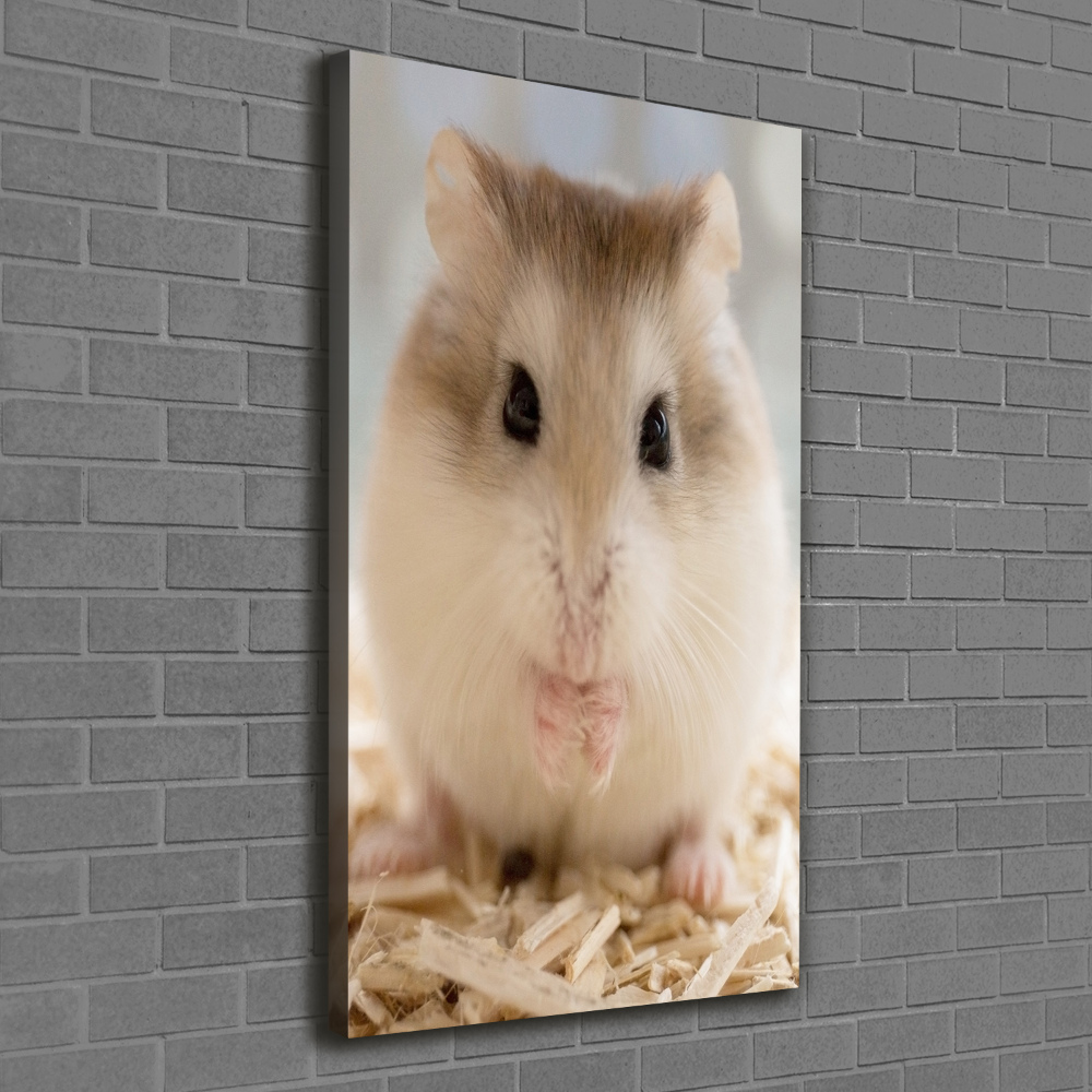 Tableau photo sur toile Hamster