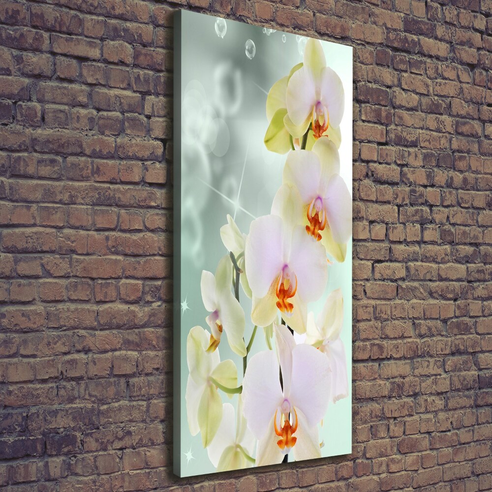 Tableau sur toile Orchidée