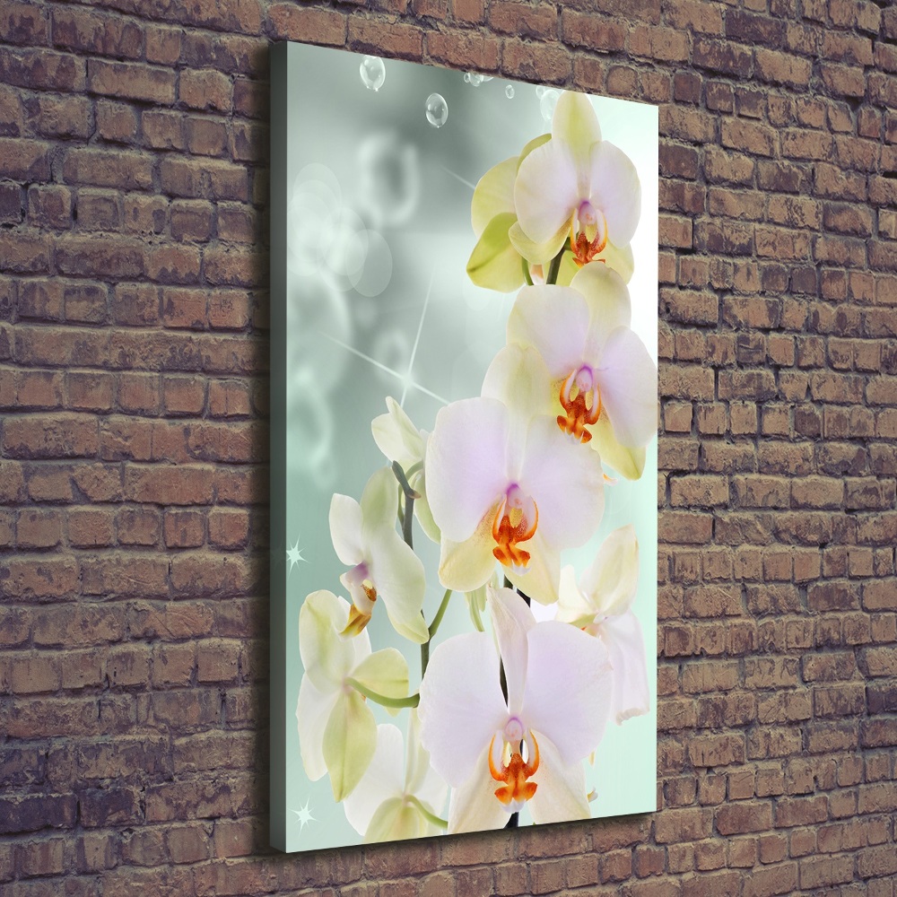 Tableau sur toile Orchidée