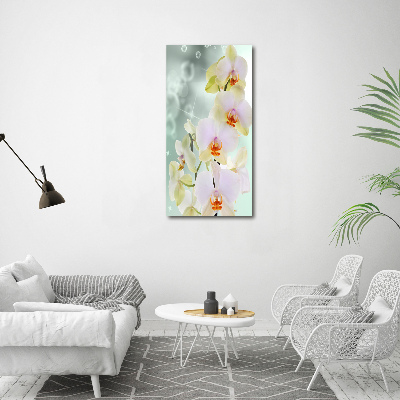 Tableau sur toile Orchidée