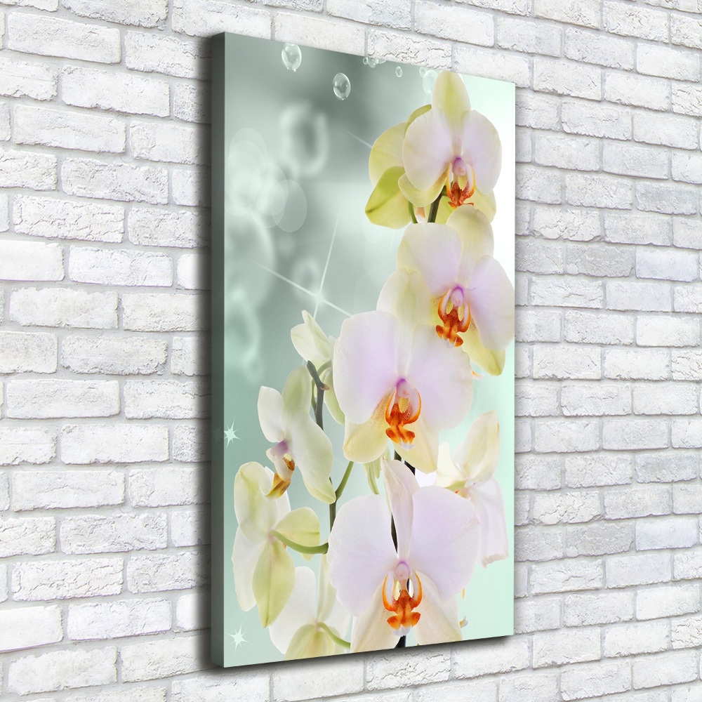 Tableau sur toile Orchidée