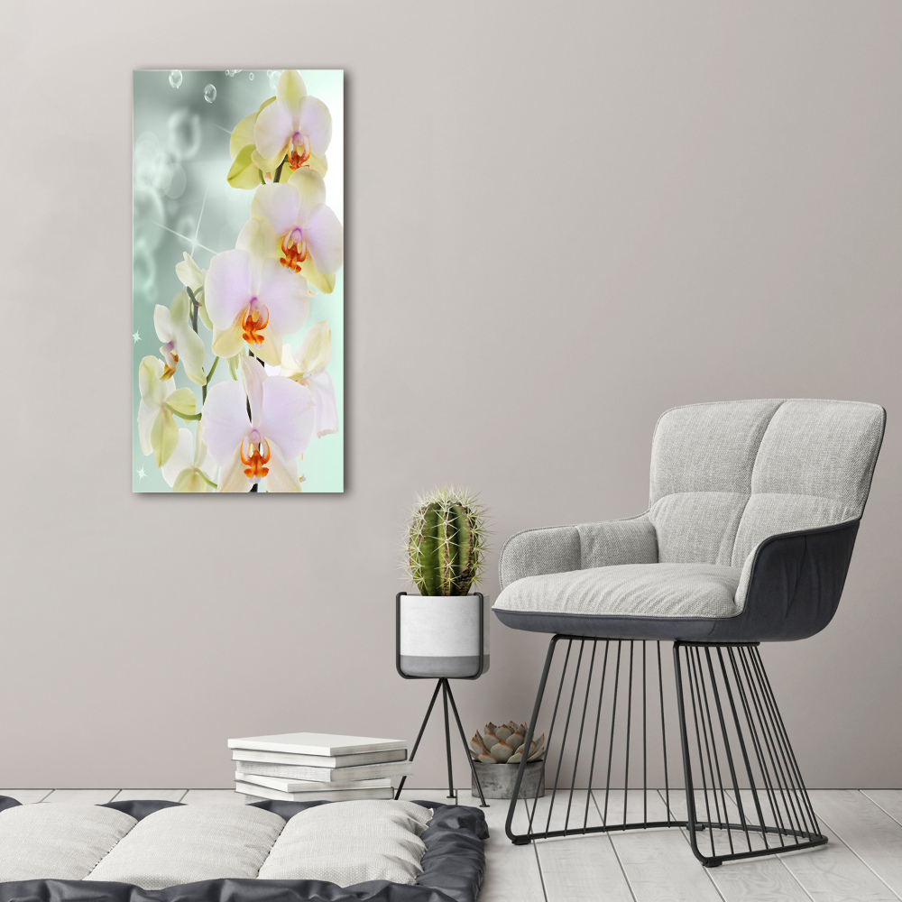 Tableau sur toile Orchidée