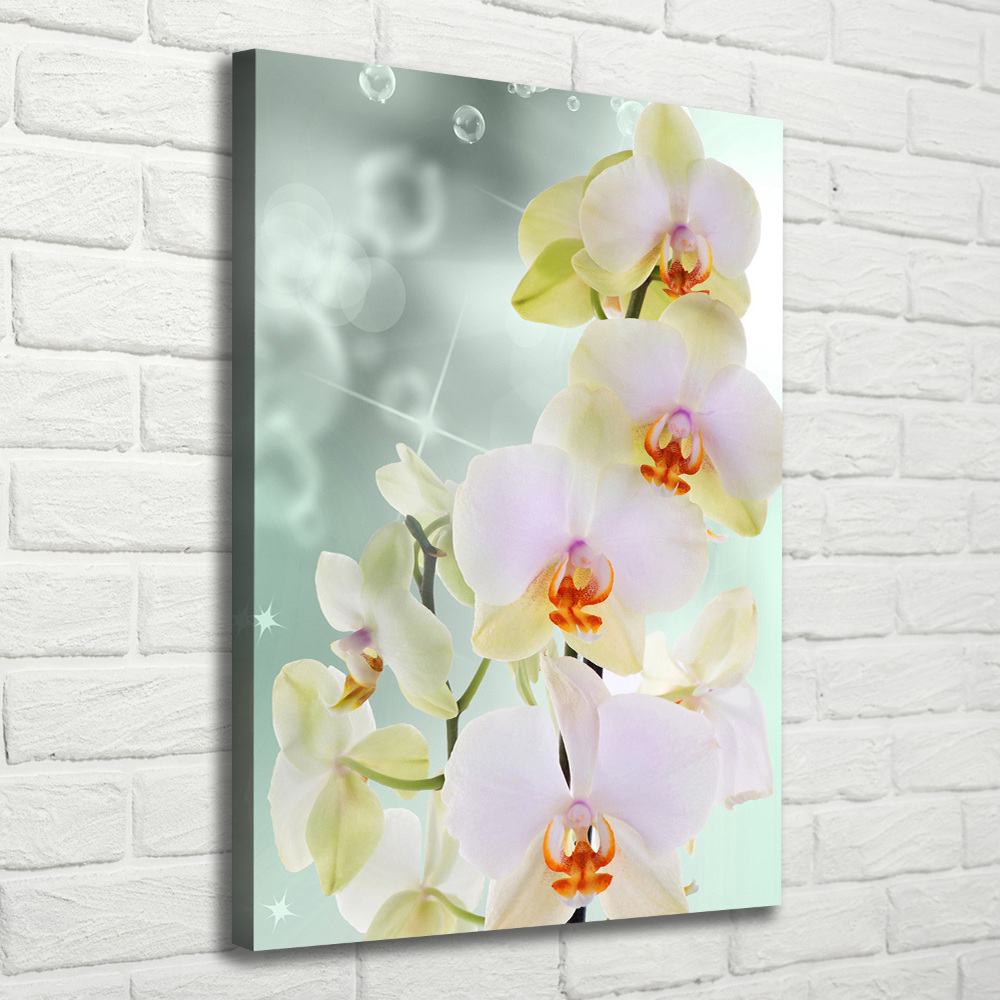 Tableau sur toile Orchidée