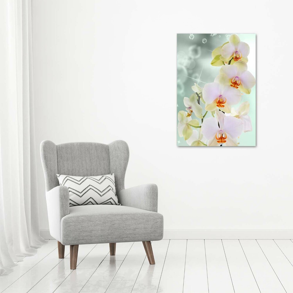 Tableau sur toile Orchidée