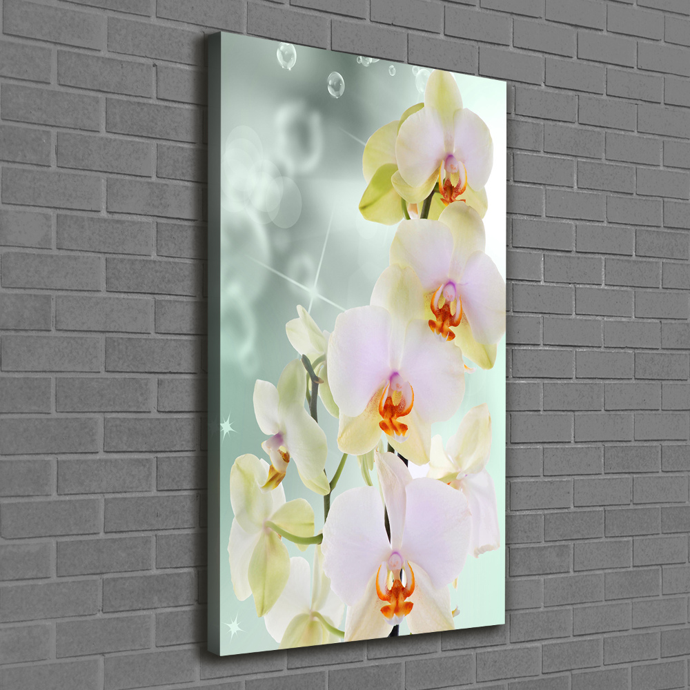 Tableau sur toile Orchidée