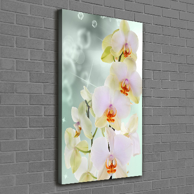 Tableau sur toile Orchidée