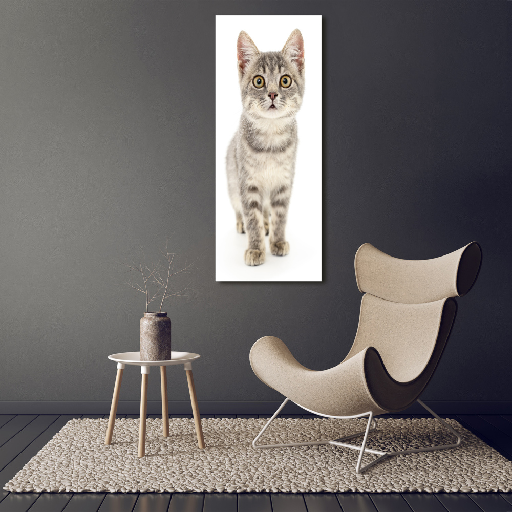 Tableau photo sur toile Chat gris