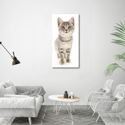 Tableau photo sur toile Chat gris