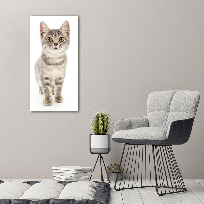 Tableau photo sur toile Chat gris