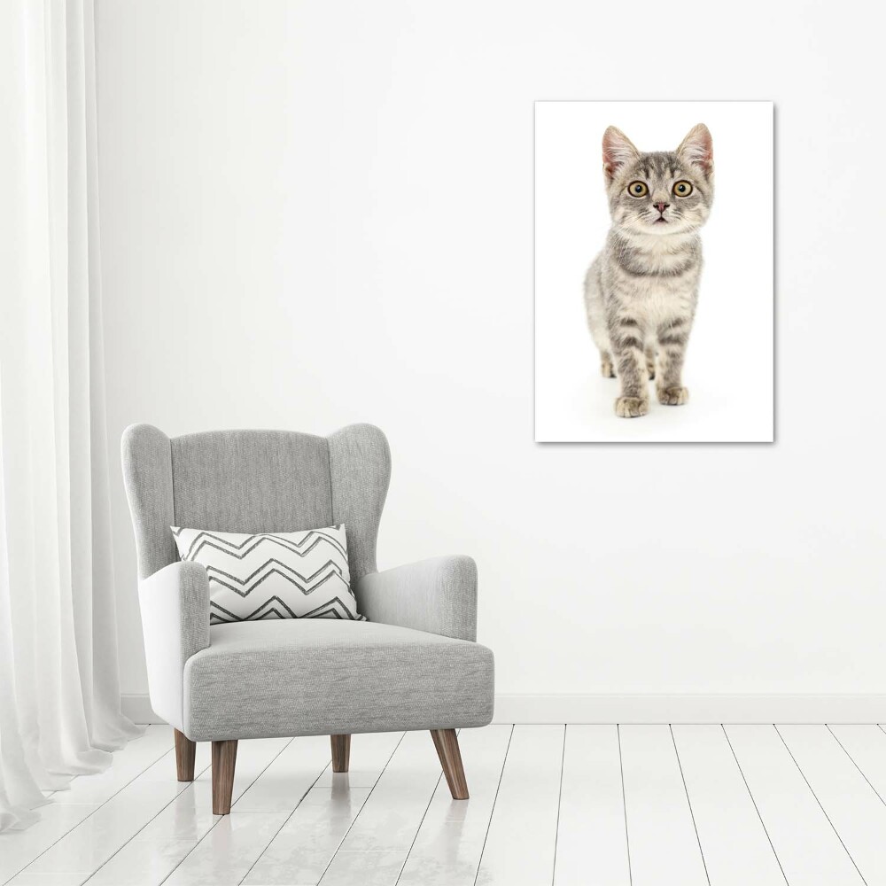 Tableau photo sur toile Chat gris