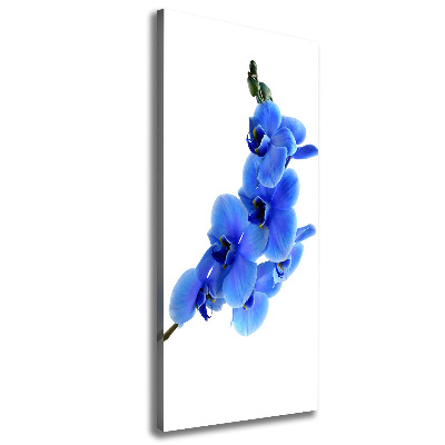 Tableau mural sur toile Orchidée bleue