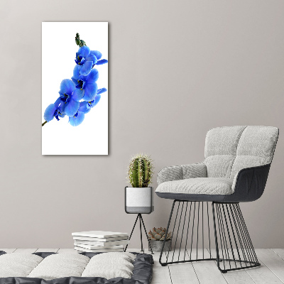 Tableau mural sur toile Orchidée bleue