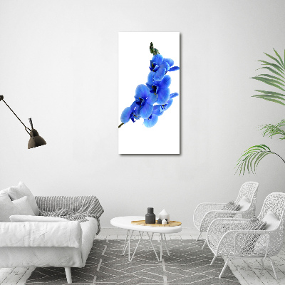 Tableau mural sur toile Orchidée bleue