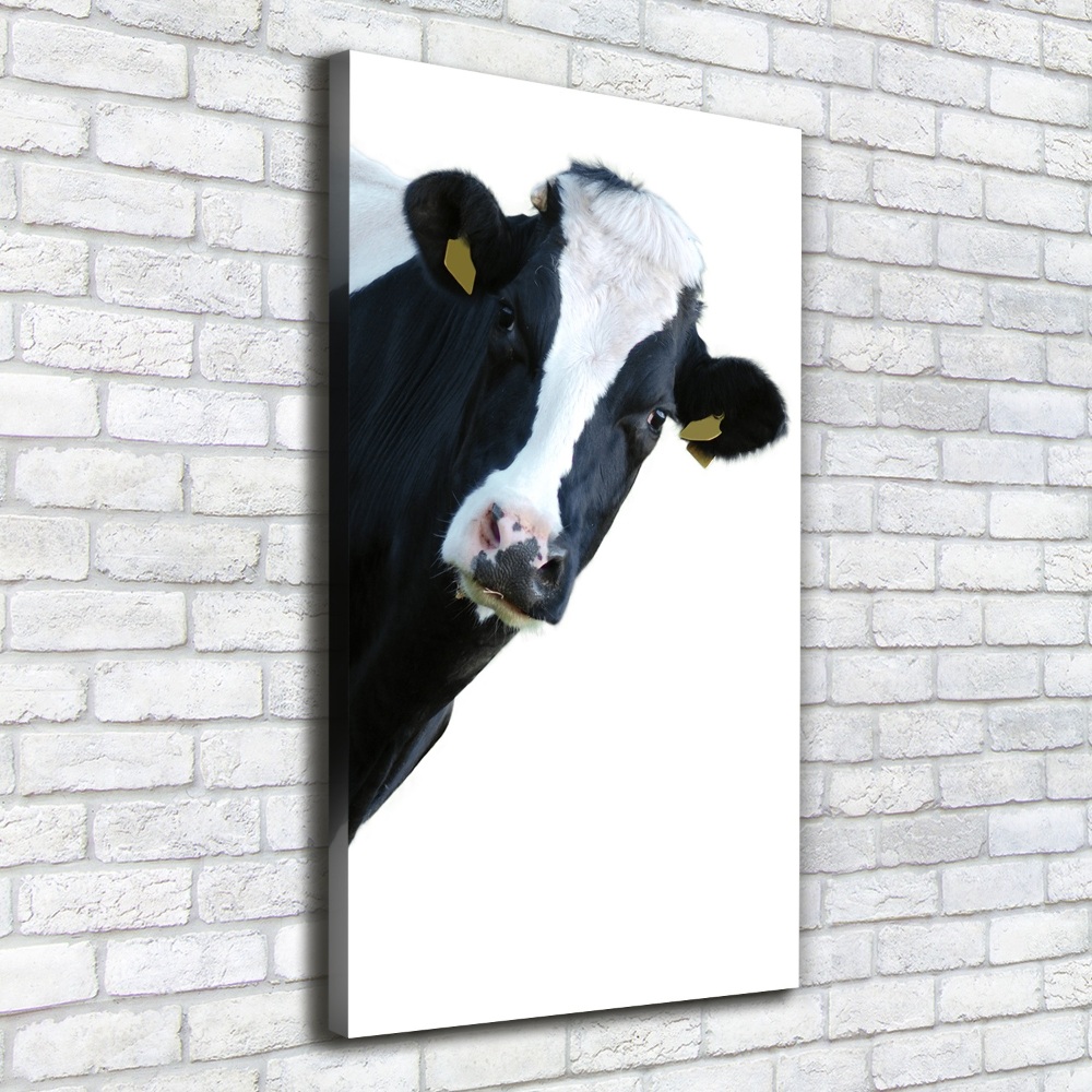 Tableau toile imprimée Vache latine