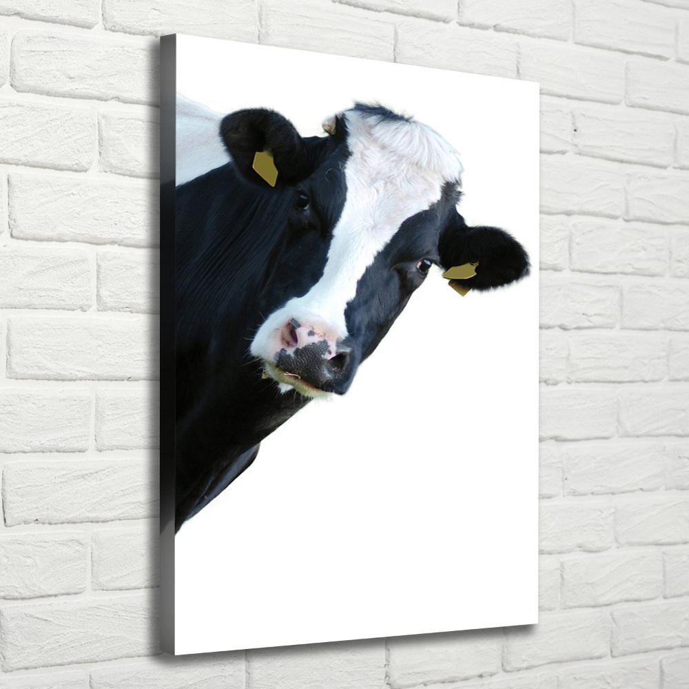 Tableau toile imprimée Vache latine