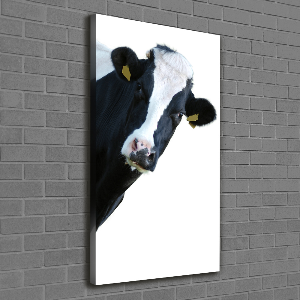 Tableau toile imprimée Vache latine