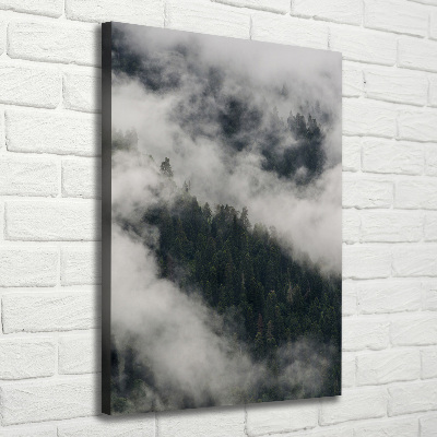 Tableau mural sur toile Nuage au-dessus de la forêt