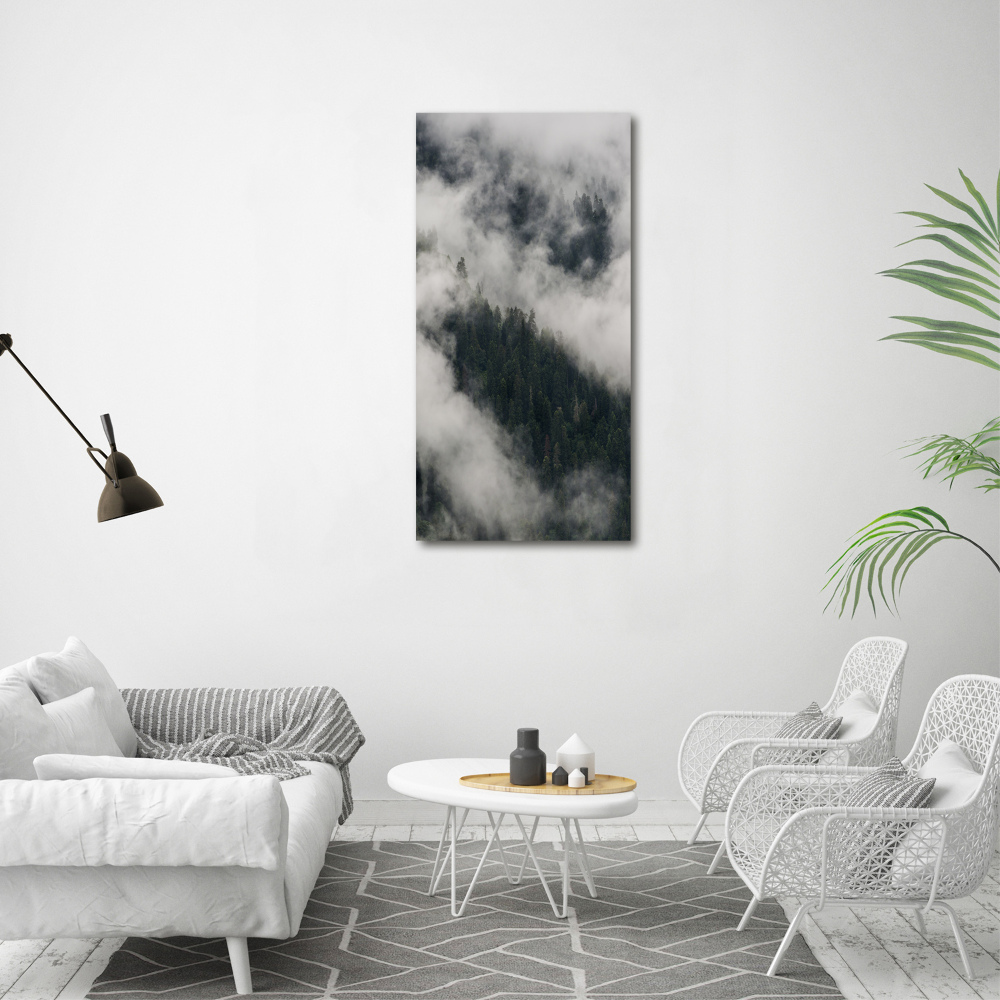 Tableau mural sur toile Nuage au-dessus de la forêt