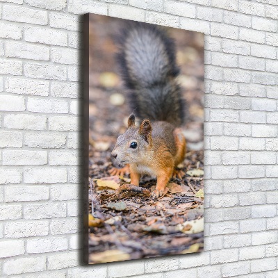 Tableau mural sur toile Écureuil dans la forêt