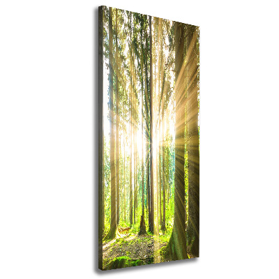 Tableau imprimé sur toile Soleil dans la forêt