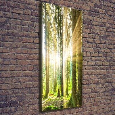 Tableau imprimé sur toile Soleil dans la forêt