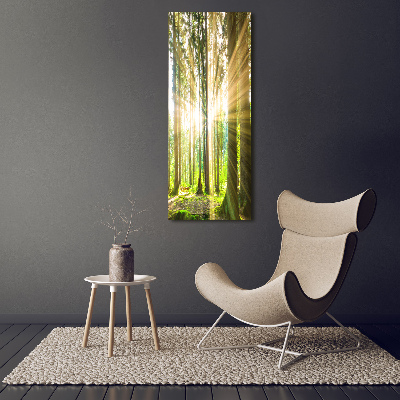 Tableau imprimé sur toile Soleil dans la forêt