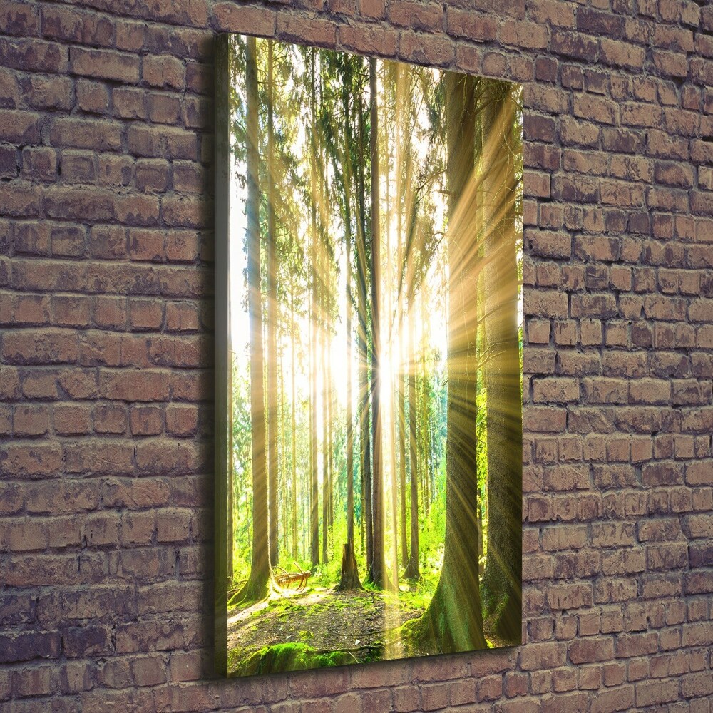 Tableau imprimé sur toile Soleil dans la forêt