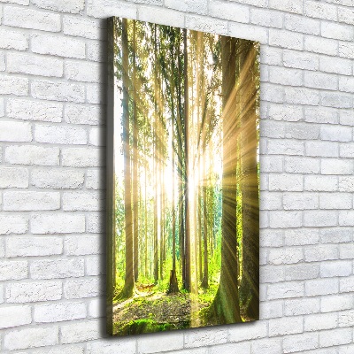 Tableau imprimé sur toile Soleil dans la forêt