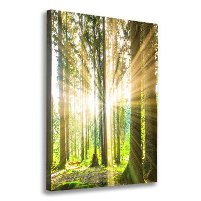 Tableau imprimé sur toile Soleil dans la forêt