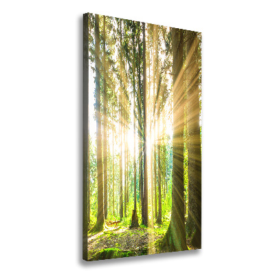 Tableau imprimé sur toile Soleil dans la forêt