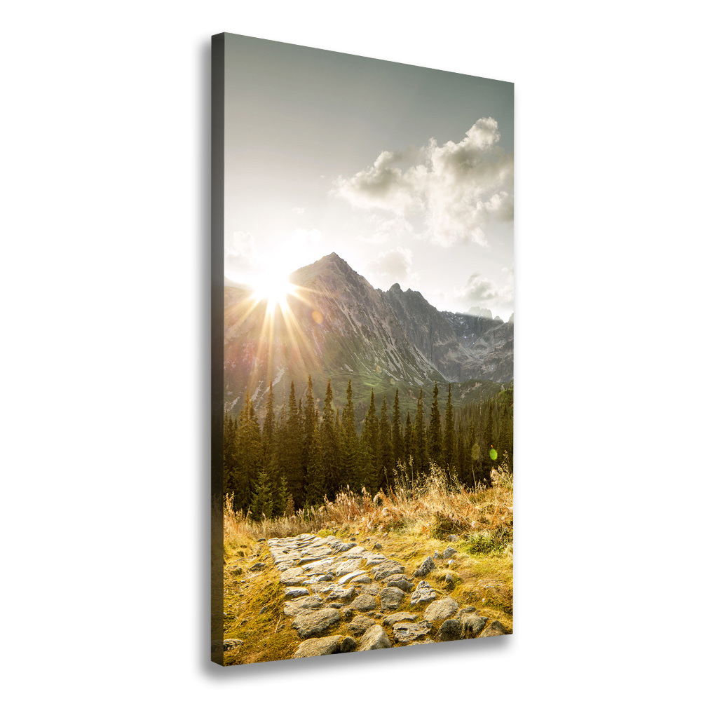 Tableau photo sur toile Coucher de soleil sur les Tatras