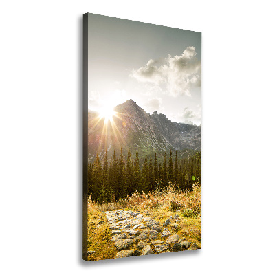 Tableau photo sur toile Coucher de soleil sur les Tatras