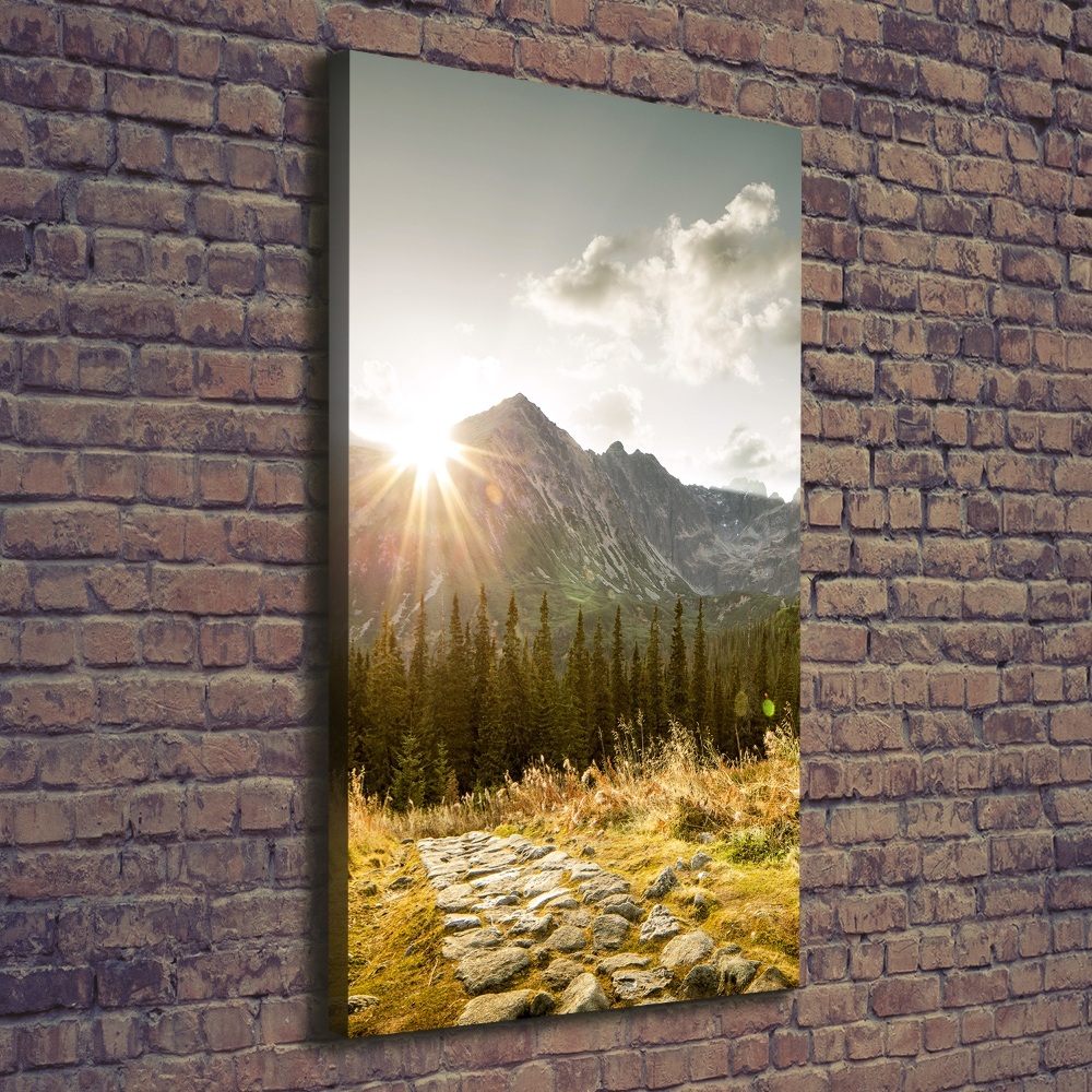 Tableau photo sur toile Coucher de soleil sur les Tatras