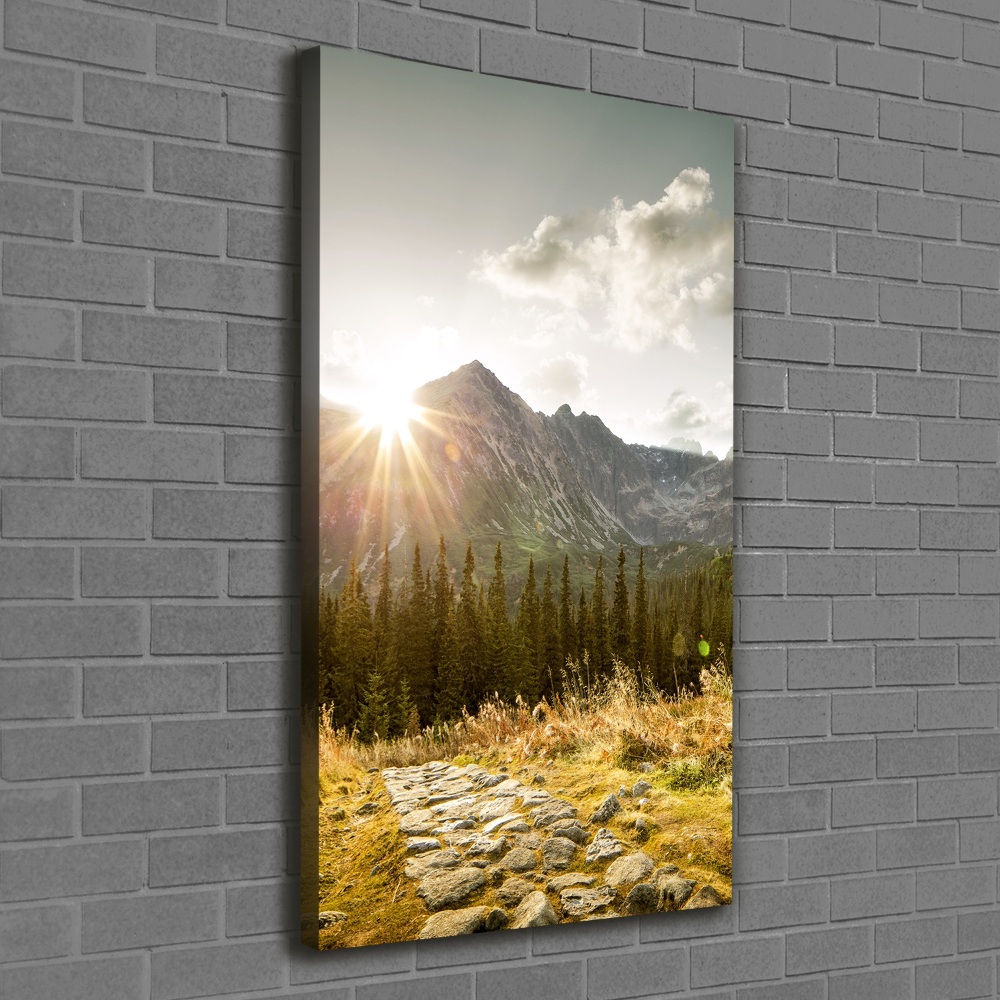 Tableau photo sur toile Coucher de soleil sur les Tatras