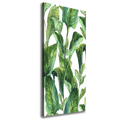 Tableau mural sur toile Feuilles tropicales plantes