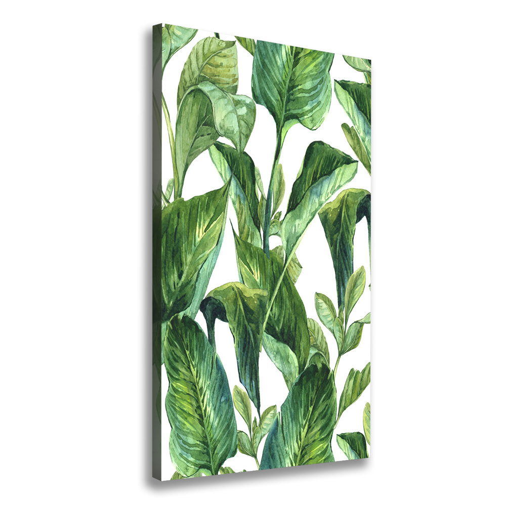 Tableau mural sur toile Feuilles tropicales plantes