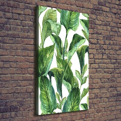 Tableau mural sur toile Feuilles tropicales plantes